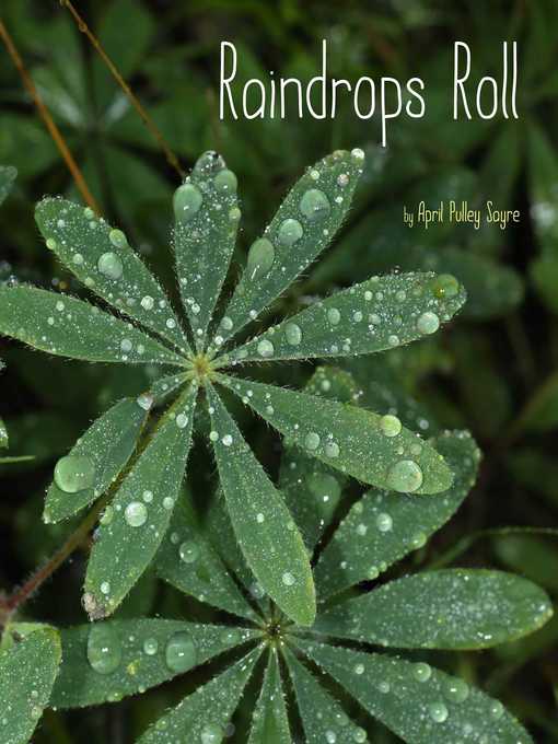 Title details for Raindrops Roll by April Pulley Sayre - Available